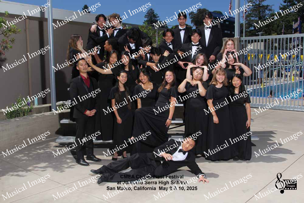 Musical Images